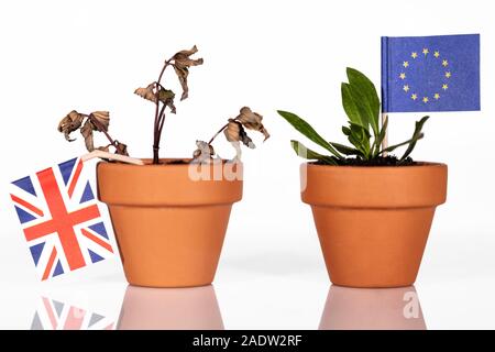 Vaso di fiori con diverse bandiere, concetto impatti dell'brexit per la Scozia, Gran Bretagna ed Europa o UE Foto Stock