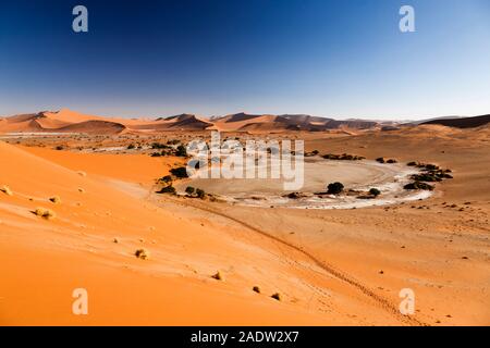 Lago morto e montagne di dune, vento increspato, Sossusvlei, deserto del Namib, Parco Nazionale Namib-Naukluft, Namibia, Sud Africa, Africa Foto Stock