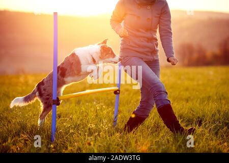 Agilità e attività con sunrise sullo sfondo del paesaggio, donna e cane saltando su una ostacoli Foto Stock