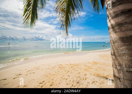 Sogno caraibico - perfetta spiaggia con sabbia bianca e acqua turchese al Mar dei Caraibi a Playa del Carmen, Messico Foto Stock