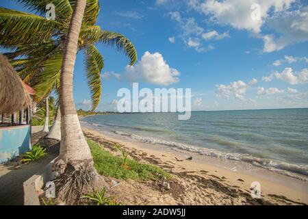 Celeste Beach in Punta Allen al Mar dei Caraibi Foto Stock