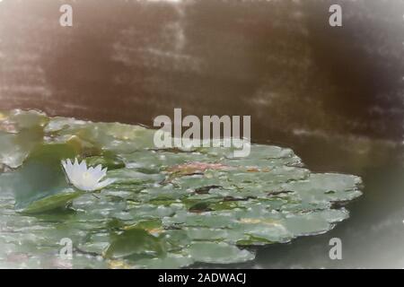 Acquerello immagine: acqua giglio campo con un bianco fiore di un giglio di acqua, con macchie solari intenzionale e sovraesposizione in controluce, impianti Foto Stock