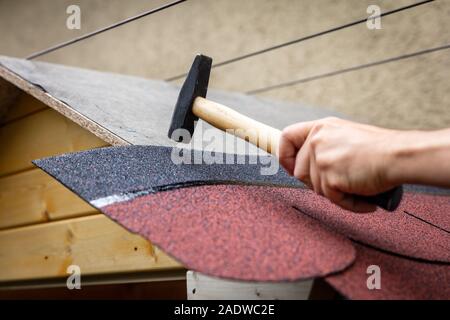 Il bitume di tegole sono inchiodati ad un piccolo padiglione in legno Foto Stock