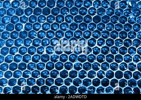 Fresh honey comb virati al blu. Sfondo naturale. Foto Stock