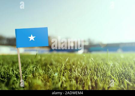 Stick miniaturizzato Somalia bandiera su erba verde, vicino campo di sole. Lo sfondo dello stadio, copia spazio per il testo. Foto Stock