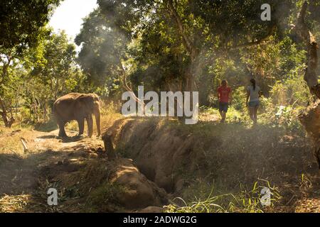 Bella Tailandia deserto, due persone camminando lungo il lato un elefante nella foresta Foto Stock