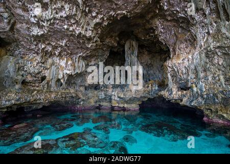 Avaiki rock pozze di marea, South Pacific Niue Foto Stock