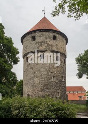 Torre dell'artiglieria Kiek in de Kök nella città vecchia di Tallinn, sito patrimonio dell'umanità dell'UNESCO. Foto Stock