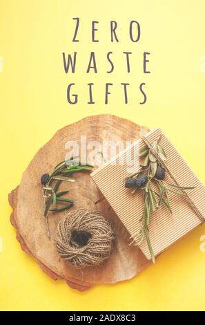 Rifiuti Zero idee regalo. Giftbox si inginocchiò con cavo e olive branch su sfondo di legno e copyspace. Foto Stock