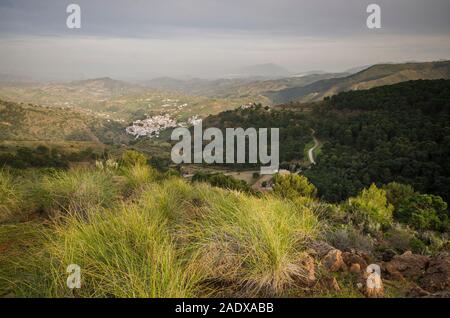 Vista del bianco lavato villaggio di Tolox in Sierra de las Nieves riserva, il sud della Spagna, Andalusia. Foto Stock