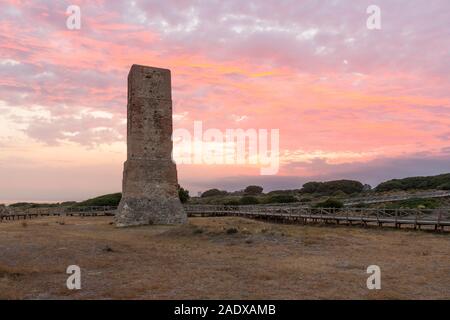 Moresco torre di vedetta, ladri Tower, a Cabopino spiaggia vicino a Marbella, al tramonto, Andalusia, Spagna. Foto Stock