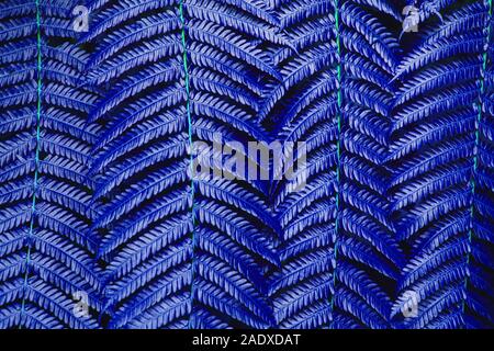 Trend blu sfondo tropicale. Classic colore. Perfetto foglie di felce texture. Linee astratte in natura, figura geometrica. Concetto di natura, banner orizzontale. Foto Stock