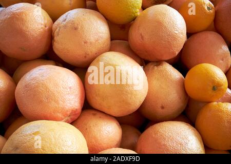 Arance fresche prodotti locali in vendita su un mercato degli agricoltori nel giardino d'inverno florida usa Foto Stock