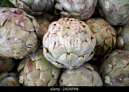 Carciofi freschi prodotti locali in vendita su un mercato degli agricoltori nel giardino d'inverno florida usa Foto Stock