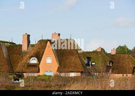 Sylt, Braderuper Heide, Friesenhaeuser Foto Stock