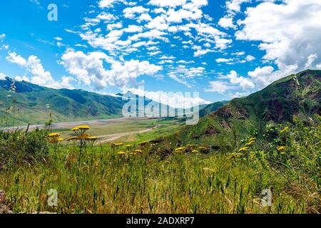 Per Kulob Qalai Khumb Pamir Highway pittoresco paesaggio mozzafiato vista del fiume Panj Valley con fiori di colore giallo su un soleggiato Blue Sky giorno Foto Stock