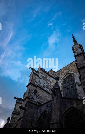 Dettaglio del tetto e doccioni presso la cattedrale di Barcellona. Cattedrale di Santa Croce e di Santa Eulalia. Catedral de la Santa Creu i Santa Eulàlia. Catedral d Foto Stock