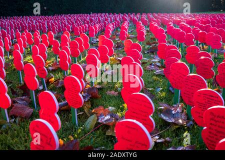 Campo di papaveri a Menin Gate, Ypres Foto Stock