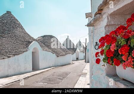 Alberobello, fiore rosso nel famoso villaggio di Trulli in Puglia in Italia Foto Stock