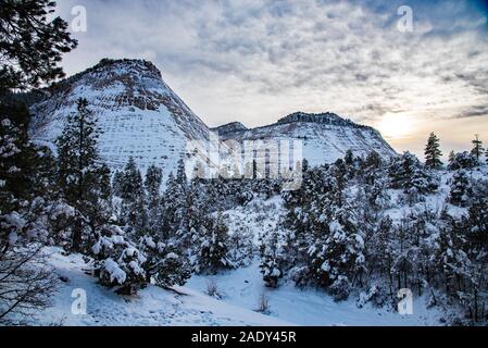 La Checkerboard Mesa in Zions National Park. Vicino all'ingresso est di Zions è una bellissima vista. Essa è particolarmente bella dopo una tempesta di neve. Foto Stock