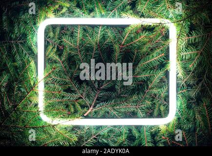 Creative colore fluorescente layout fatte di rami di abete rosso Foto Stock