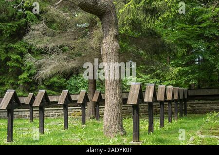 Cimitero di guerra austriaco No. 60 Al Małastowska Pass, da Dusan Jurkovic, Polonia Foto Stock