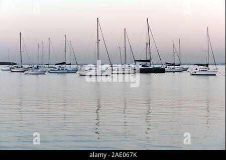 Key Biscayne, Florida - Novembre 30, 2019: Barche a vela al di ancoraggio in Crandon Marina ancoraggio su chiara, calma giornata invernale a sunrise. Foto Stock