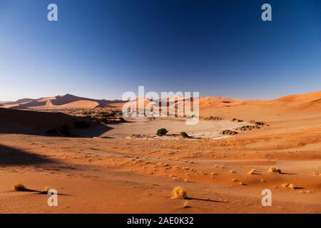 Lago morto e montagne di dune, vento increspato, Sossusvlei, deserto del Namib, Parco Nazionale Namib-Naukluft, Namibia, Sud Africa, Africa Foto Stock