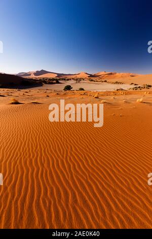 Lago morto e montagne di dune, vento increspato, Sossusvlei, deserto del Namib, Parco Nazionale Namib-Naukluft, Namibia, Sud Africa, Africa Foto Stock