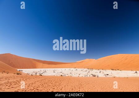 Letto e dune di lago, Deadvlei, deserto del Namib, Parco Nazionale del Namib-Naukluft, Namibia, Africa Meridionale, Africa Foto Stock