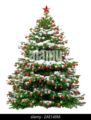 Bellissimo albero di Natale decorato con palline rosse. Snowy albero di Natale wit stella rossa isolato su sfondo bianco. Foto Stock