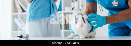 Vista ritagliata del veterinario esaminando simpatico coniglio maculato vicino a un collega Foto Stock