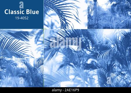 Collage di moda con la natura texture, foglie. sfondi ispirati alla moda di colore blu del 2020. Foto Stock