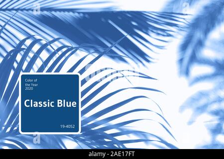 Collage di moda con la natura texture, foglie. sfondi ispirati alla moda di colore blu del 2020. Foto Stock