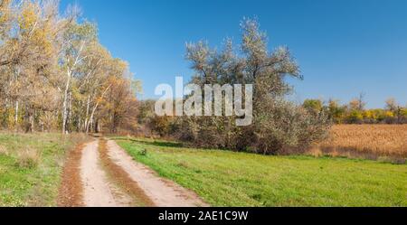Autunnale di paesaggio panoramico con una massa road accanto al bosco misto attraverso prato vicino a Dnepropetrovsk city, Ucraina Foto Stock