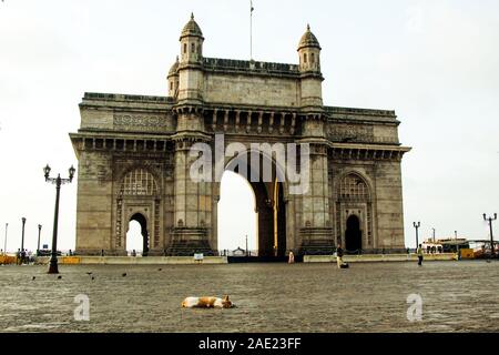 Cane dorme, Gateway of India, Apollo Bunder, Colaba, Mumbai, Maharashtra, India, Asia Foto Stock