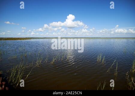 Lago tohopekaliga central florida usa Foto Stock