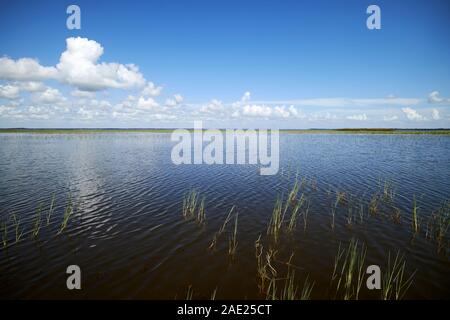 Lago tohopekaliga central florida usa Foto Stock