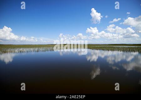 Riflessi nel lago calmo tohopekaliga central florida usa Foto Stock