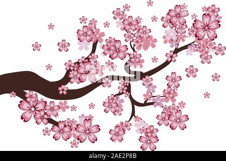 Dei ciliegi, sakura rami, rosa fiori di primavera sullo sfondo. Illustrazione Vettoriale