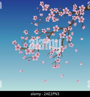 Cielo azzurro sfondo con ramo di rosa fiori di ciliegio. Illustrazione Vettoriale
