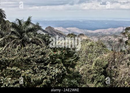 Cuba. Vista da una collina ricoperta con la giungla alle Highlands e mare all'orizzonte Foto Stock