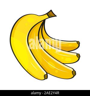 Banana . Vettore di banane. Illustrazione Vettoriale per Poster decorativi, emblema di prodotto naturale, il Mercato degli Agricoltori. Illustrazione Vettoriale