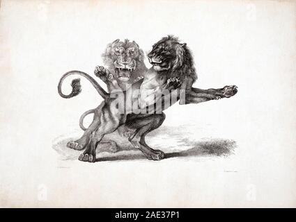 I Lions, dopo Rubens. Da Edwin Landseer e Thomas Landseer. 1823-1828 Foto Stock