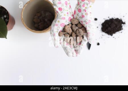 Il processo di preparazione per il trapianto di piante. le mani della donna in eleganti guanti detiene il drenaggio per houseplants su sfondo bianco. Concetto di eco. Foto Stock