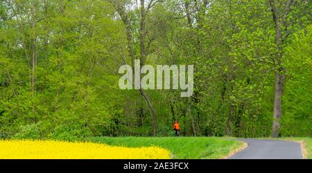 Touring ciclista femmina bicicletta equitazione da un campo di semi di colza (canola) e foresta lungo Eurovelo 7 percorso centrale Regione della Boemia Repubblica Ceca Foto Stock