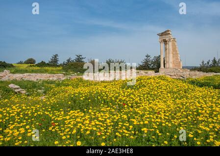 Antiche colonne di Apollon Hylates, dio di bosco, santuario nel distretto di Limassol, Cipro Foto Stock