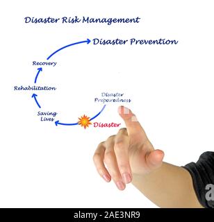 Disaster Risk Management Foto Stock