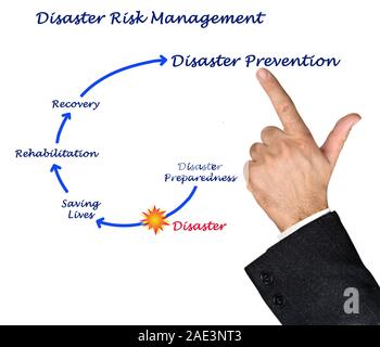 Disaster Risk Management Foto Stock