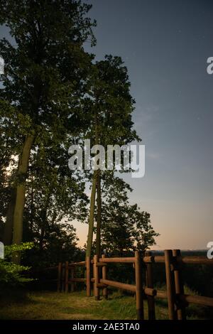 Magica e bellissima sorgere della luna, luna su il cielo sopra la linea di albero. Wolinski National Park, Polonia. Foto Stock